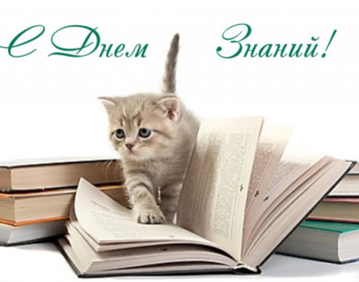 С днем студента