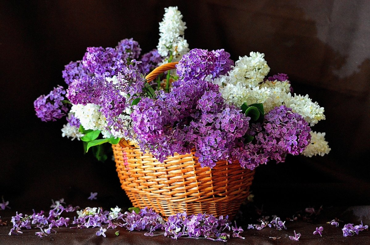 Весенний букет с сиренью
