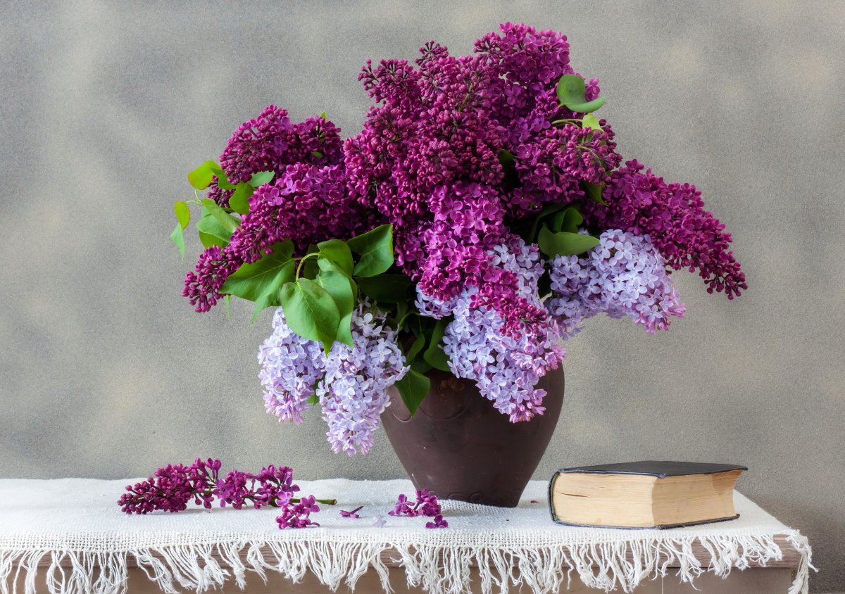 Букет сирени