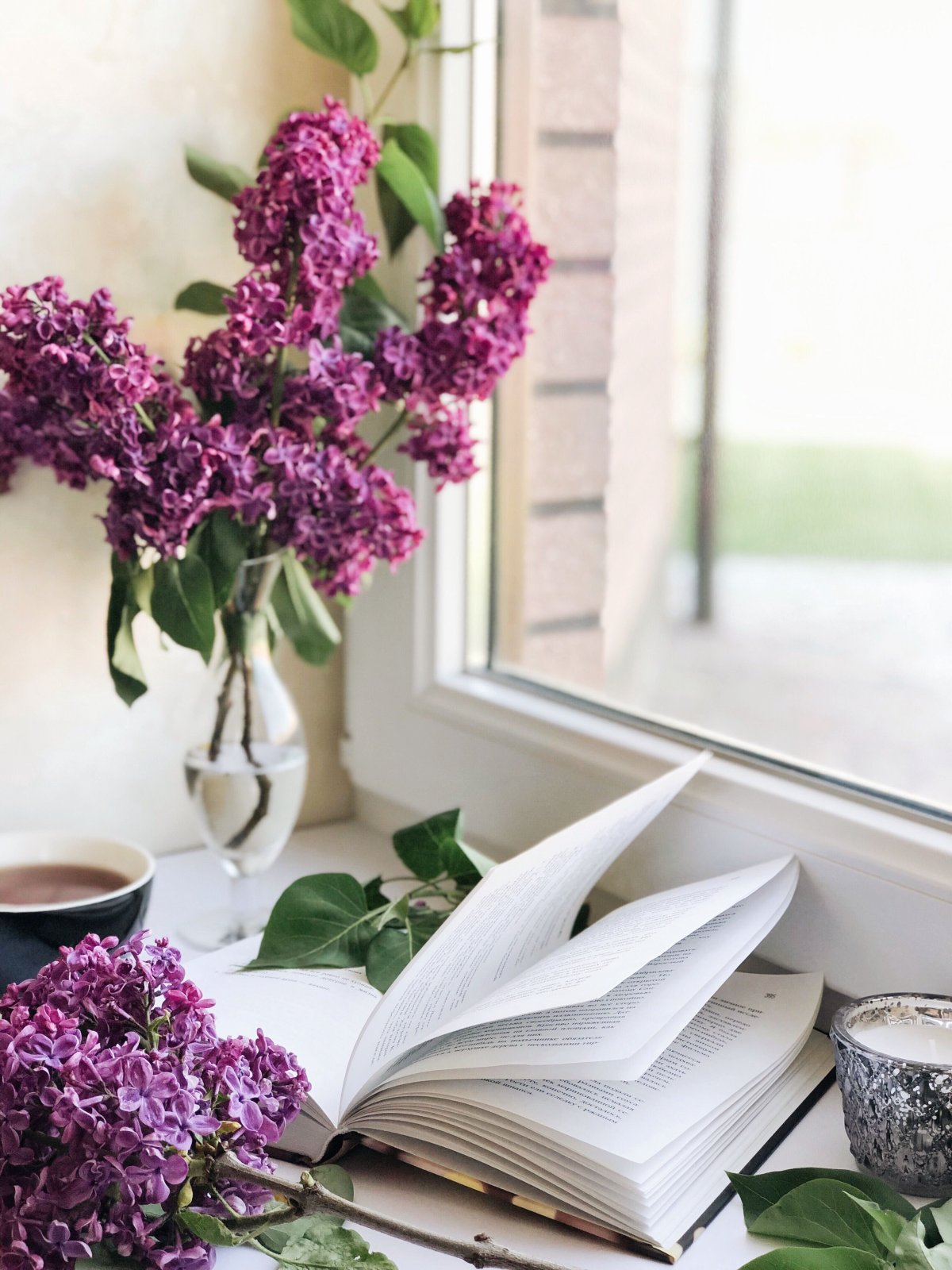 Флетлей сирень