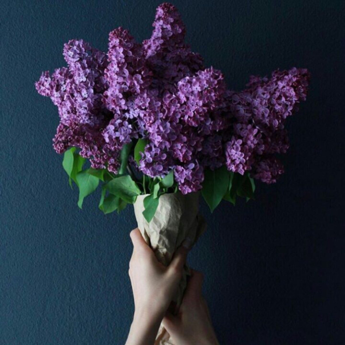 Большой букет сирени в руках