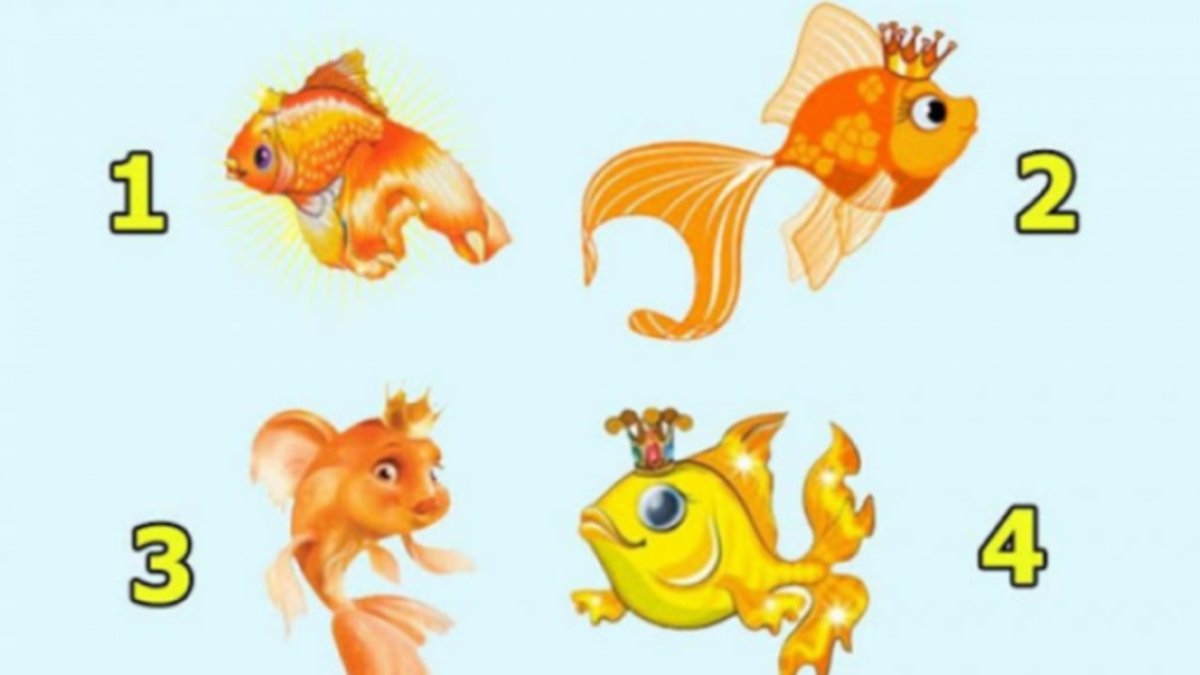 Рыбка из сказки Золотая рыбка
