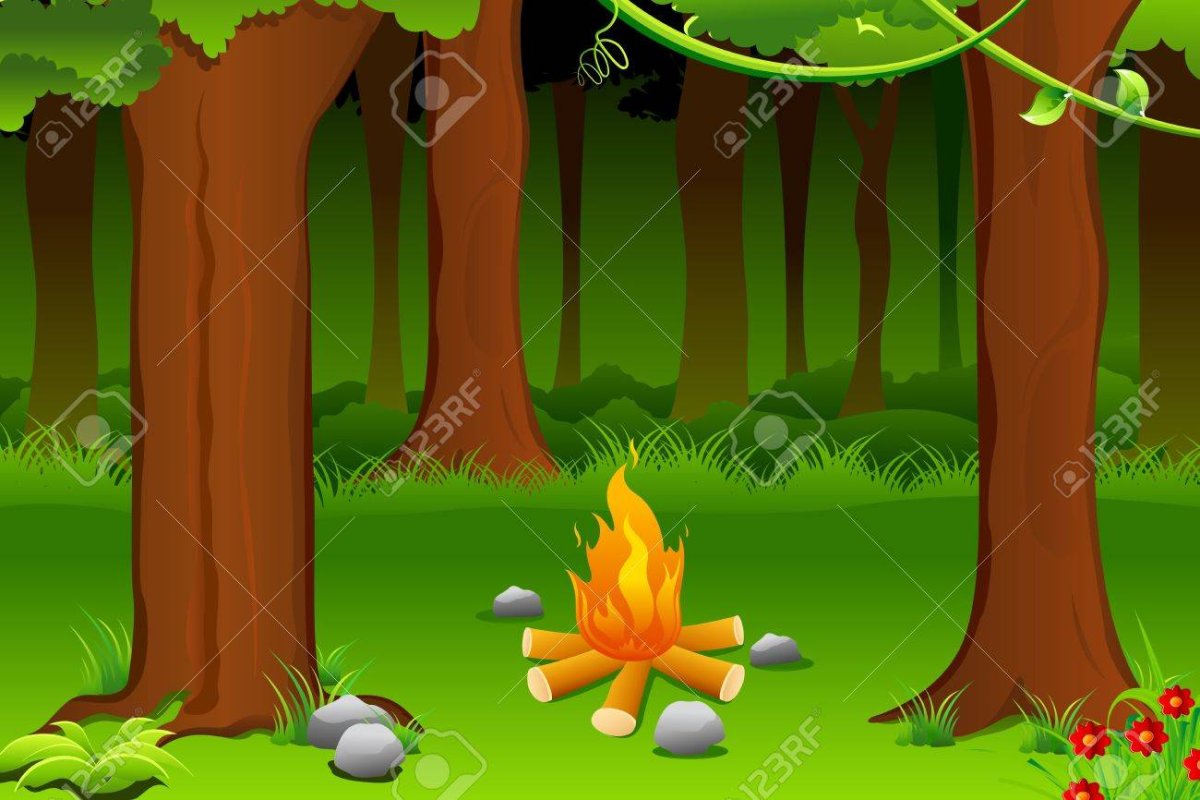 Дети у костра в лесу