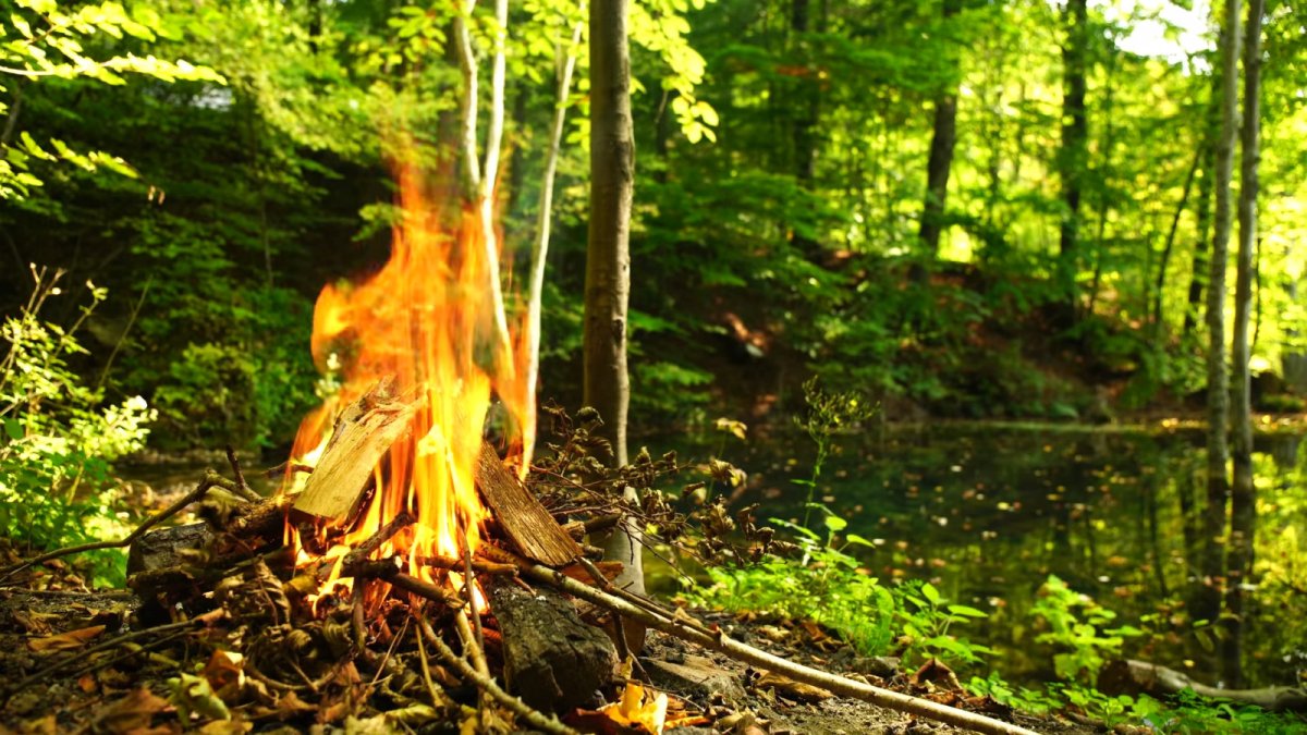 Костер на природе