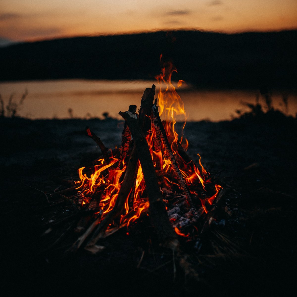 Фон леса с костром