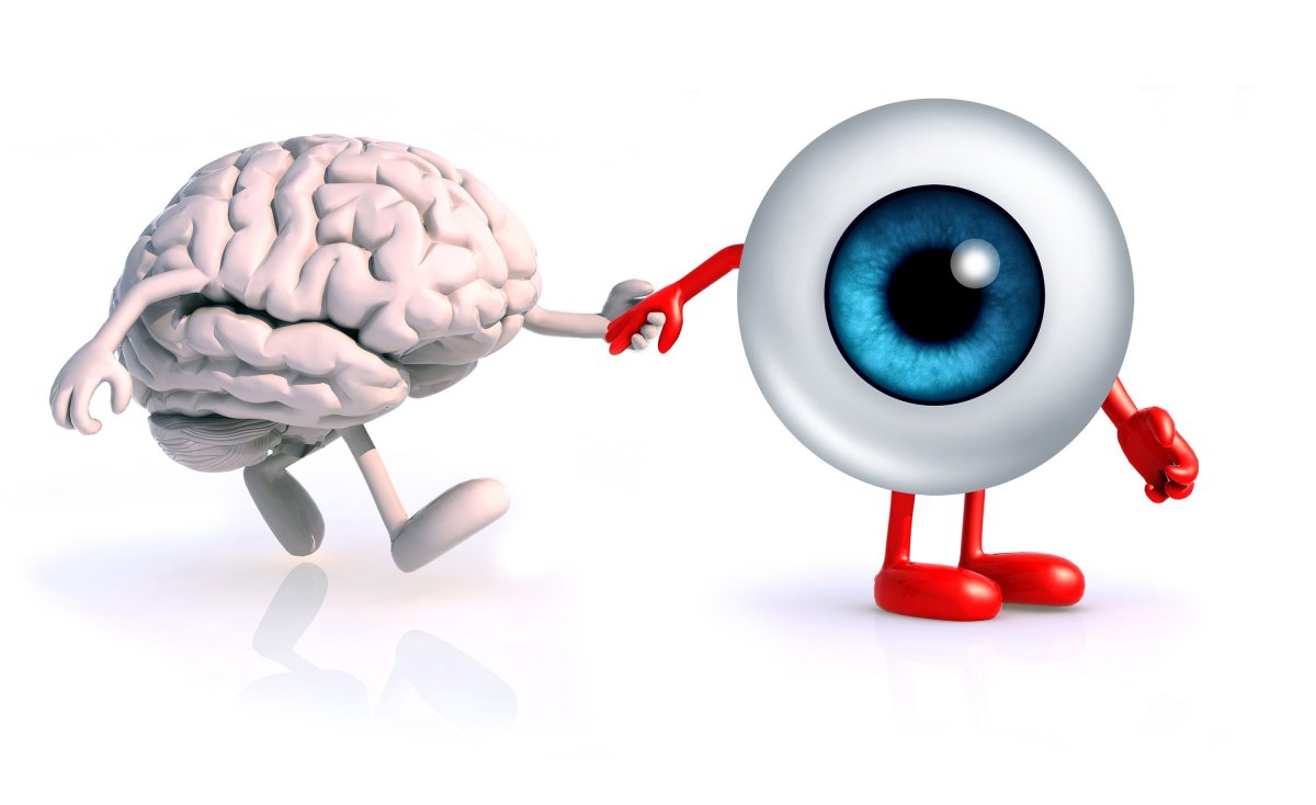 Зрение и мозг