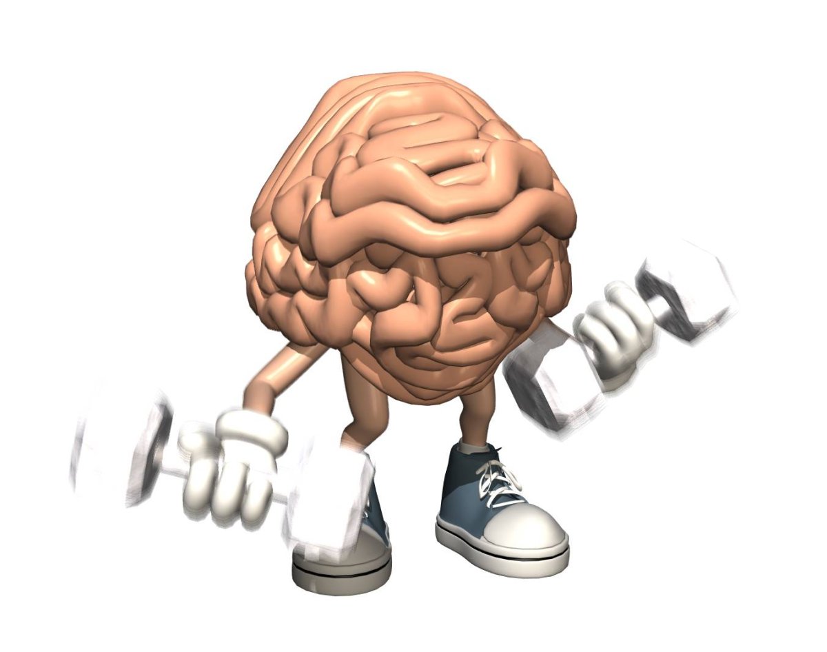 Мышечная память существует