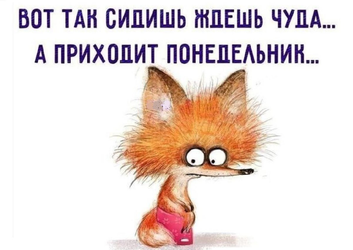 Премия прикол