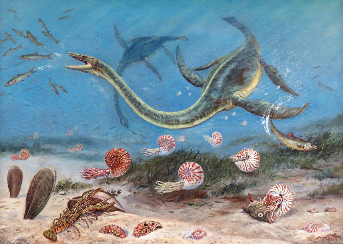 Мэри Эннинг Плезиозавр