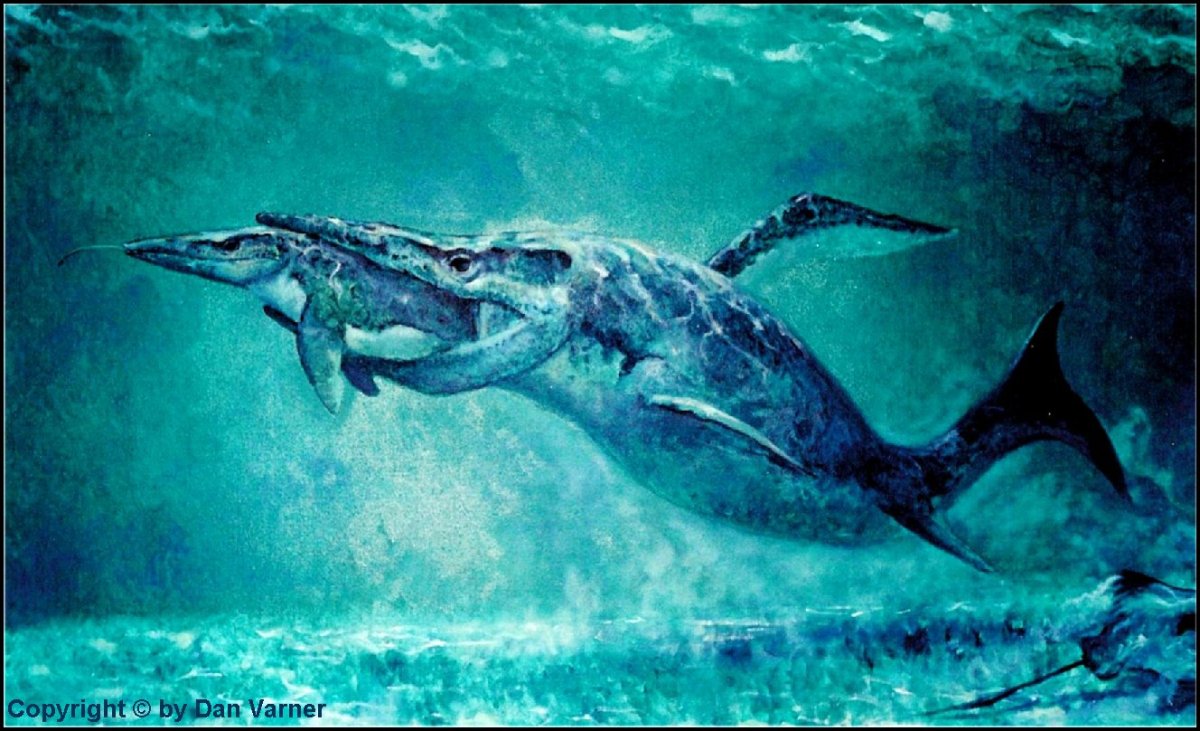 Тилозавр проригер