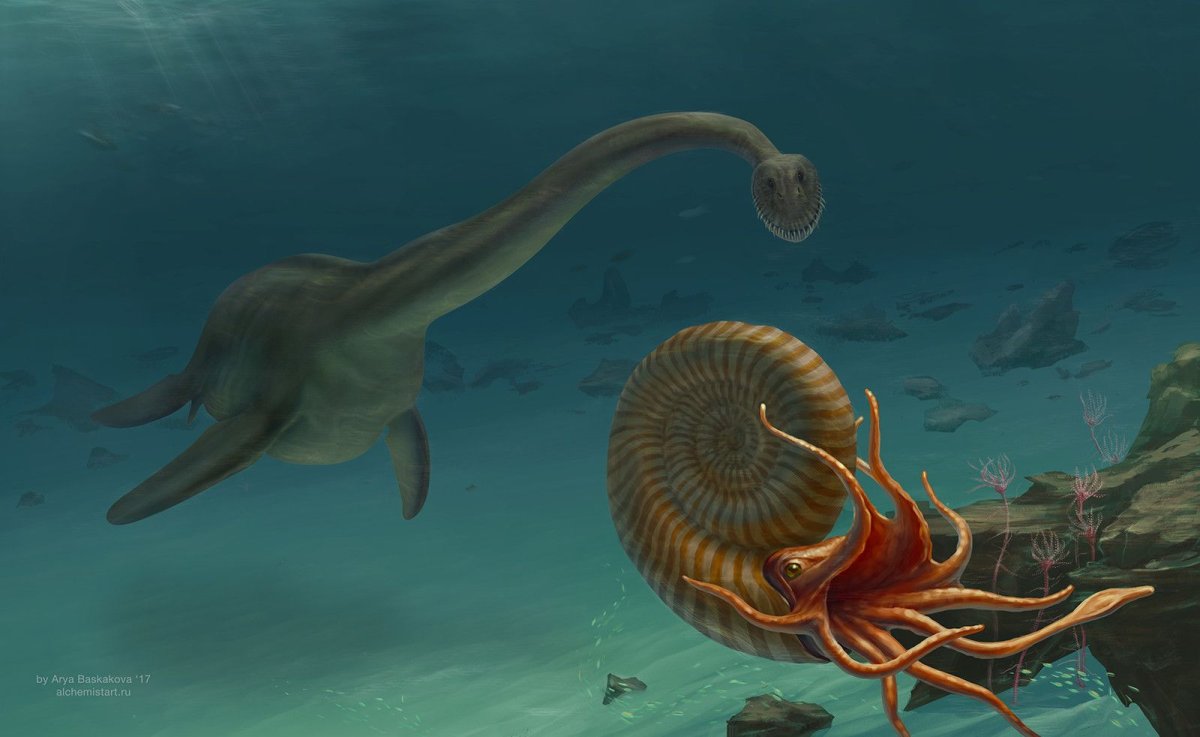 Аммонит Jurassic World