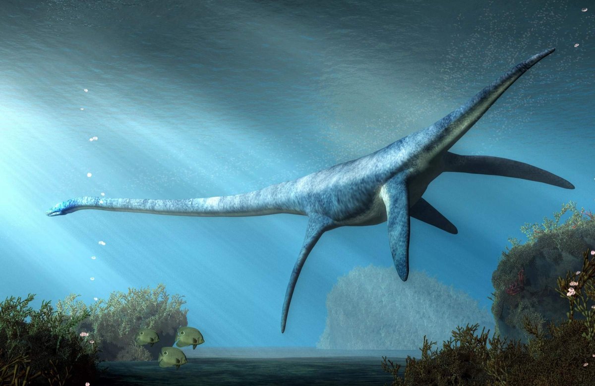 Эласмозавр динозавр