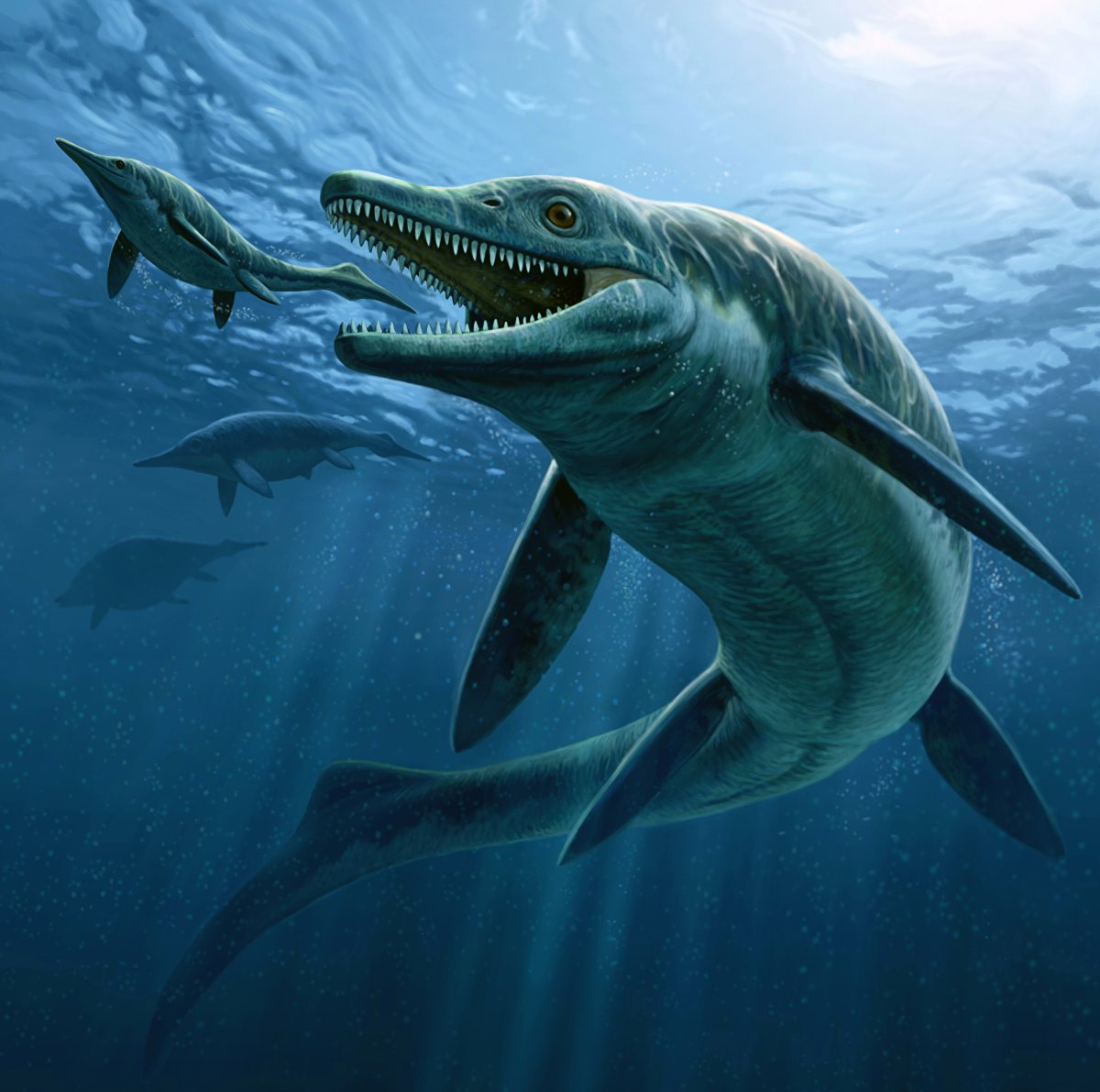 Талаттоархон саурфагис