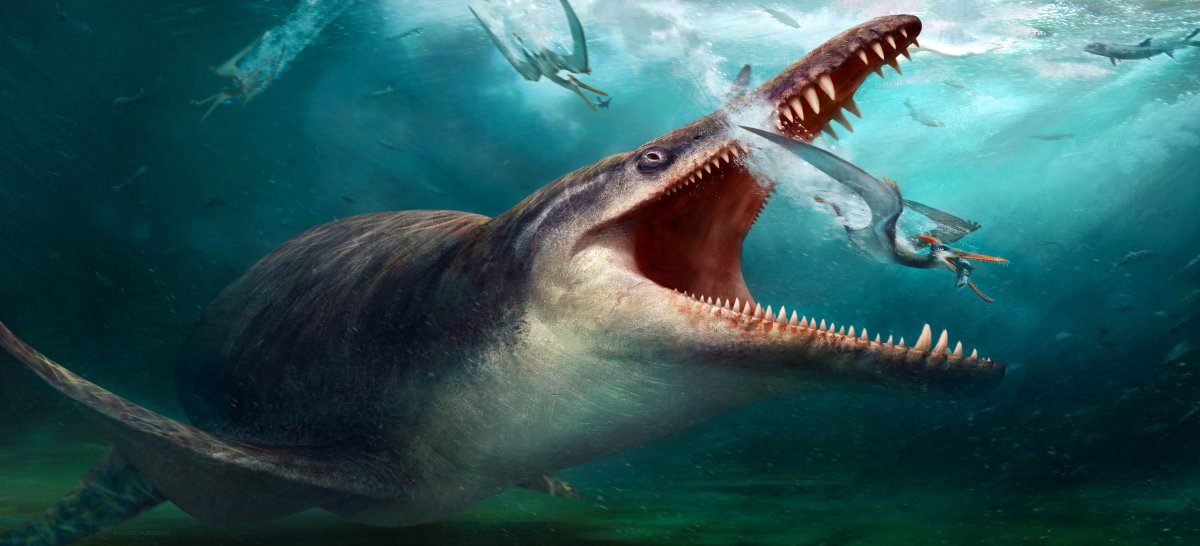 Кронозавр Бермуда