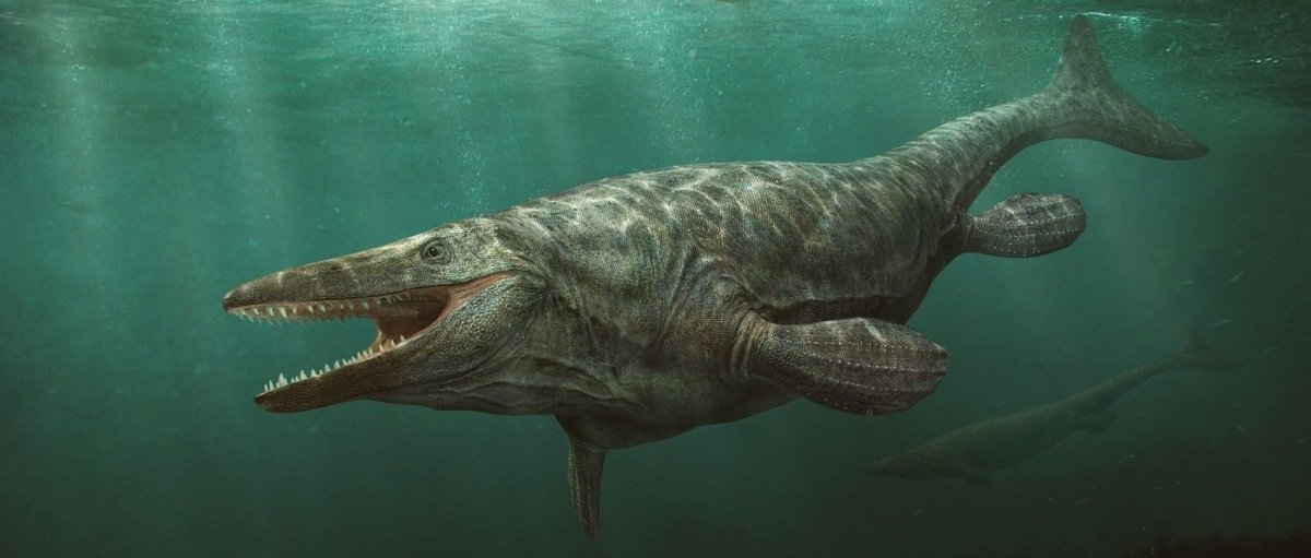 Мозазавры и тилозавры