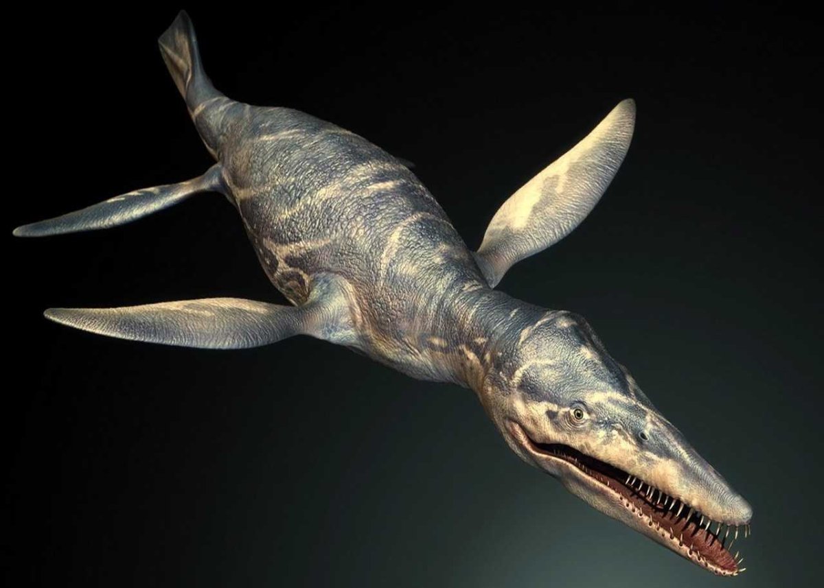 Юрский период Плиозавр