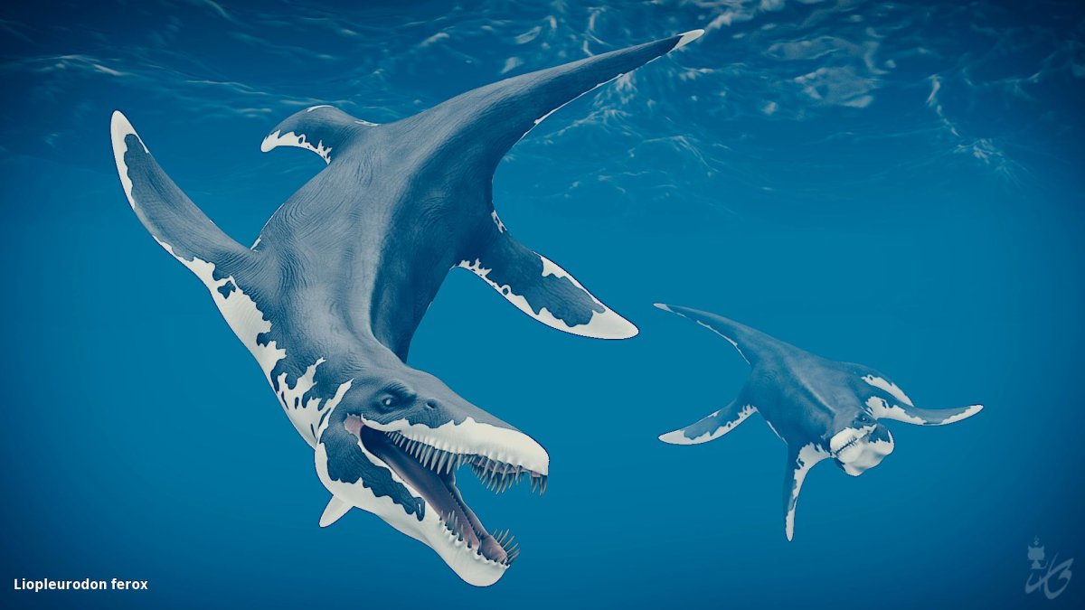 Liopleurodon pachydeirus