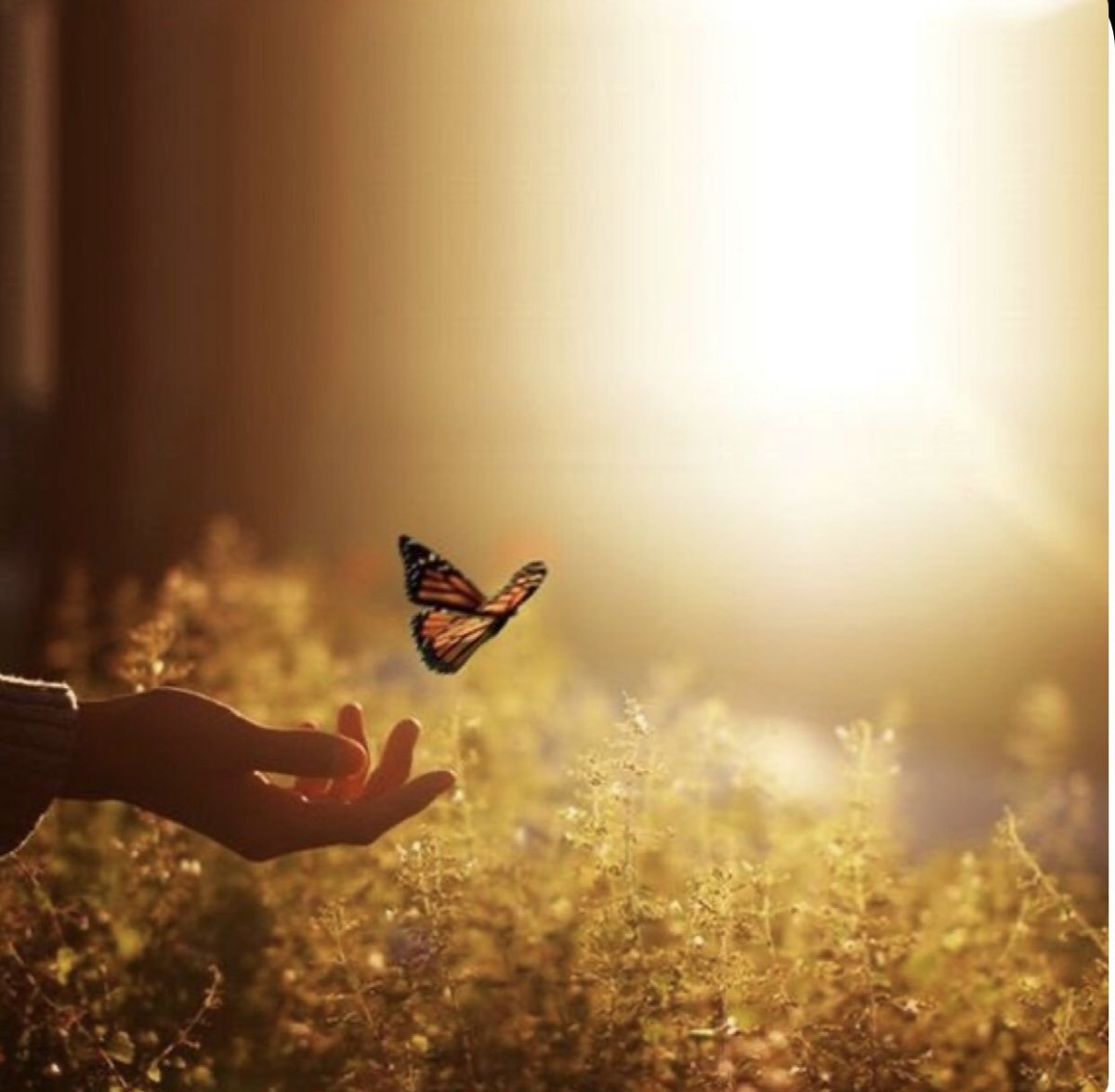 Красивая душа