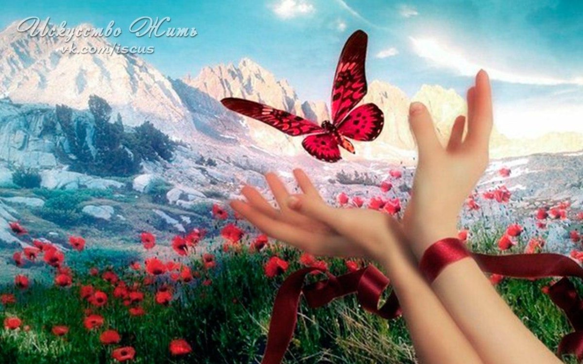 Светлая душа