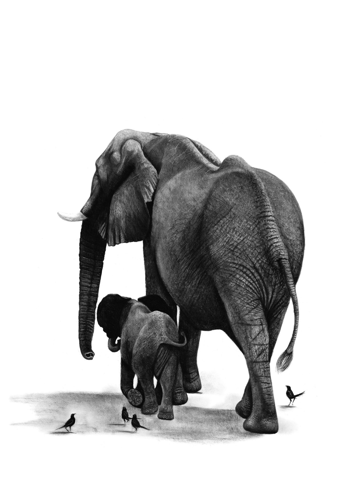 Слон и слониха мультяшные