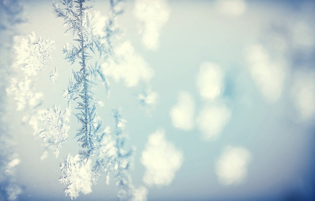 Зимний фон для портрета