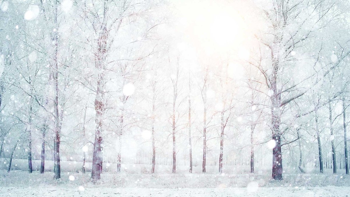 Светлая зима