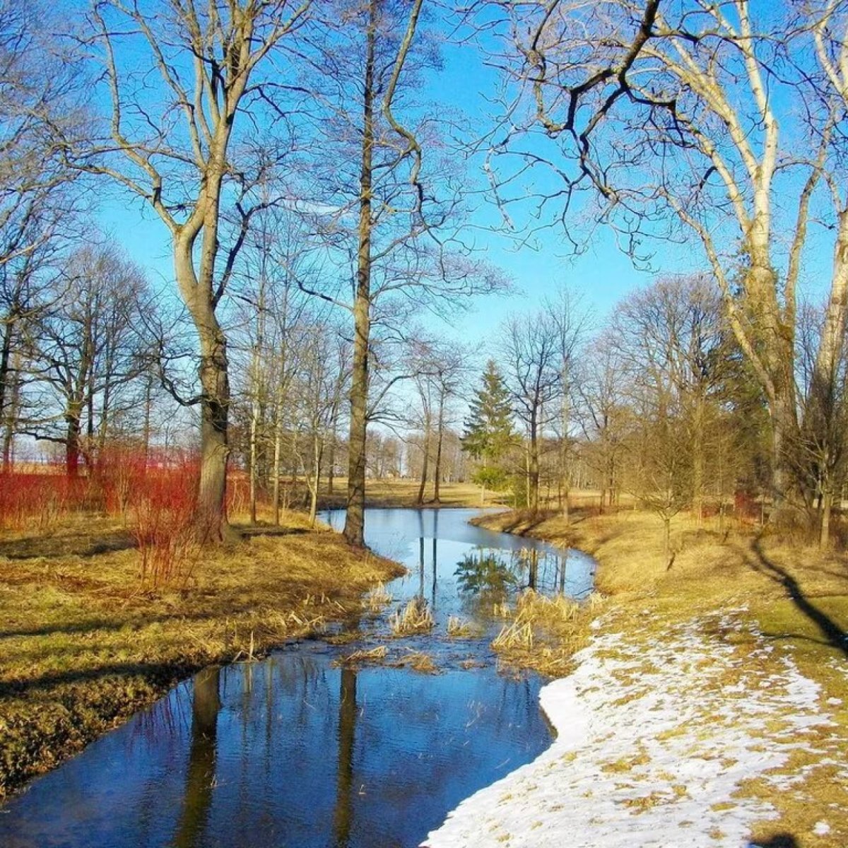 Ранняя Весна картинки