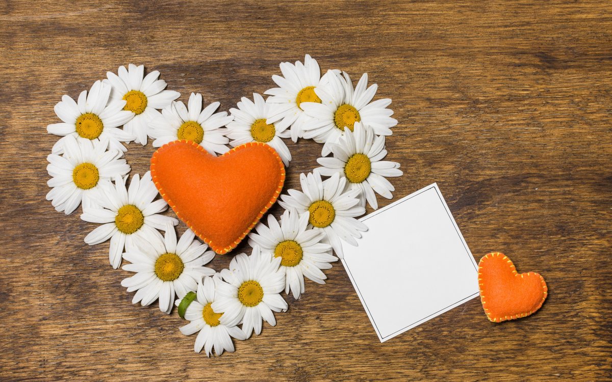 Сердечко из ромашек