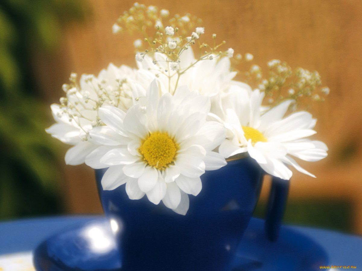 Пожелания счастья в стихах красивые