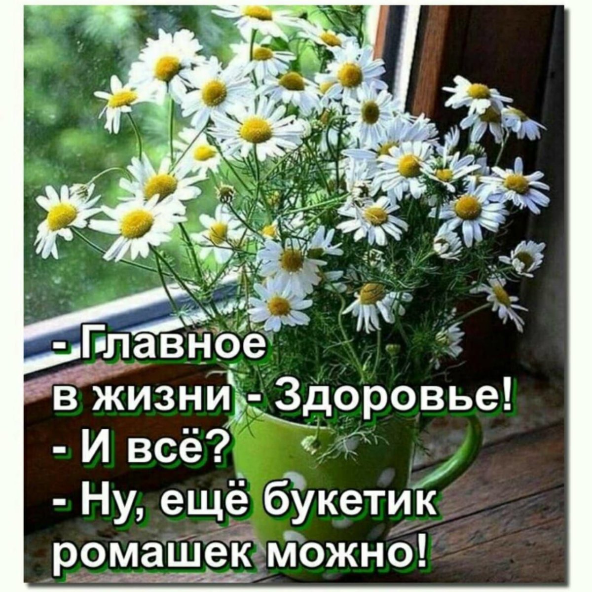 С добрым утром любимая ромашки