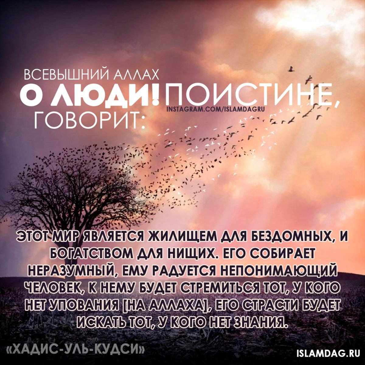 Исламские надписи