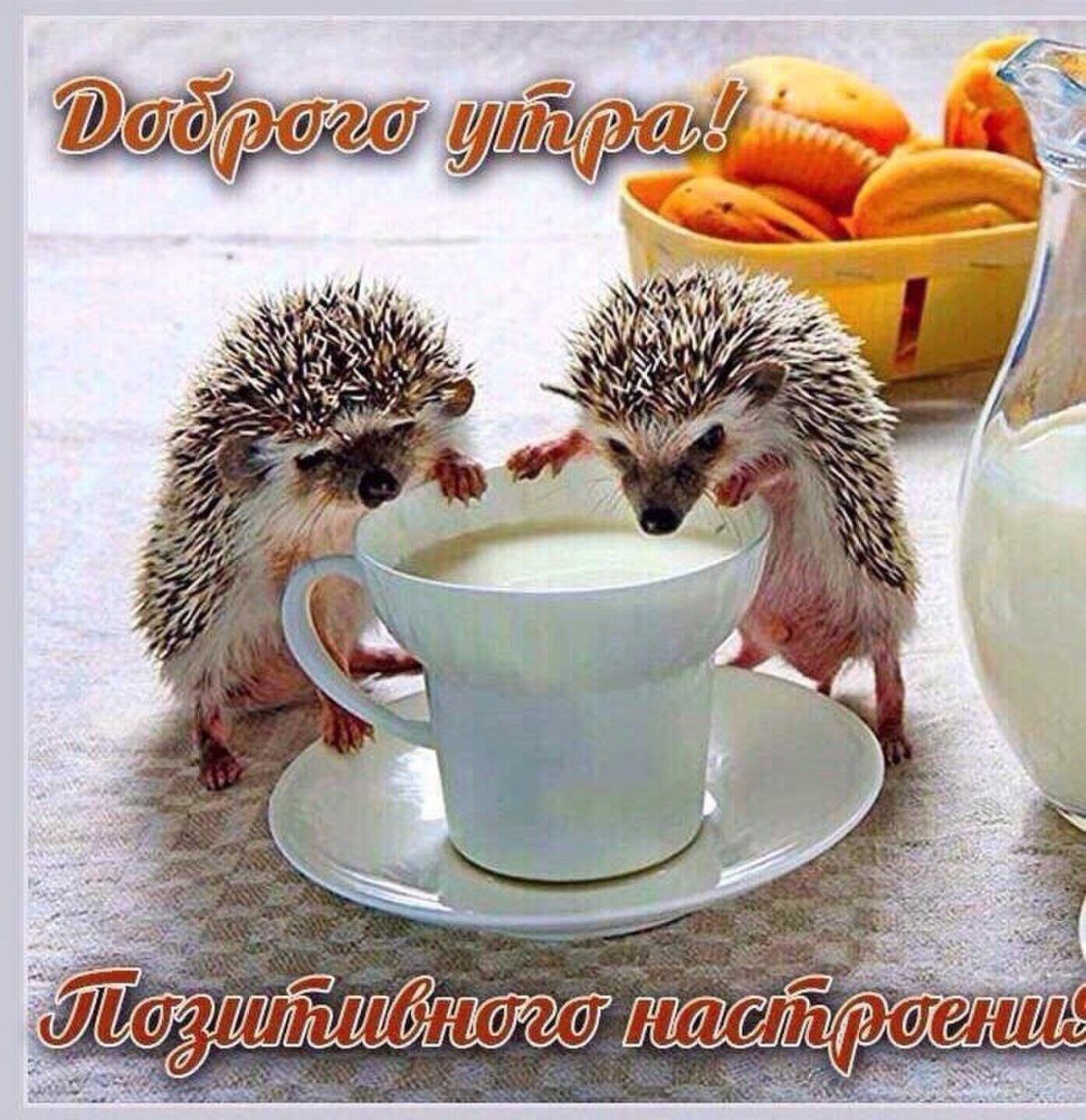 Необычные пожелания с добрым утром