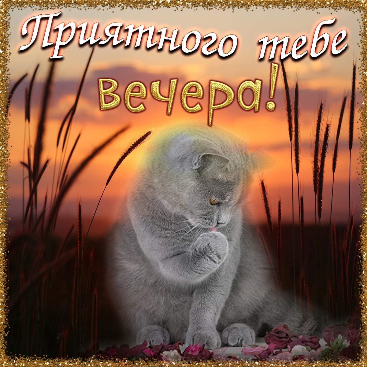 Пожелания хорошего вечера