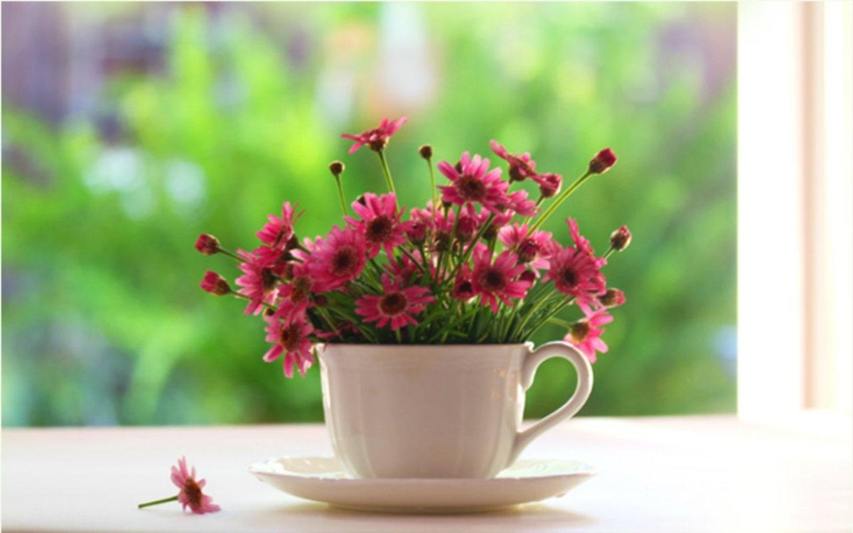 Мудрые пожелания с добрым утром