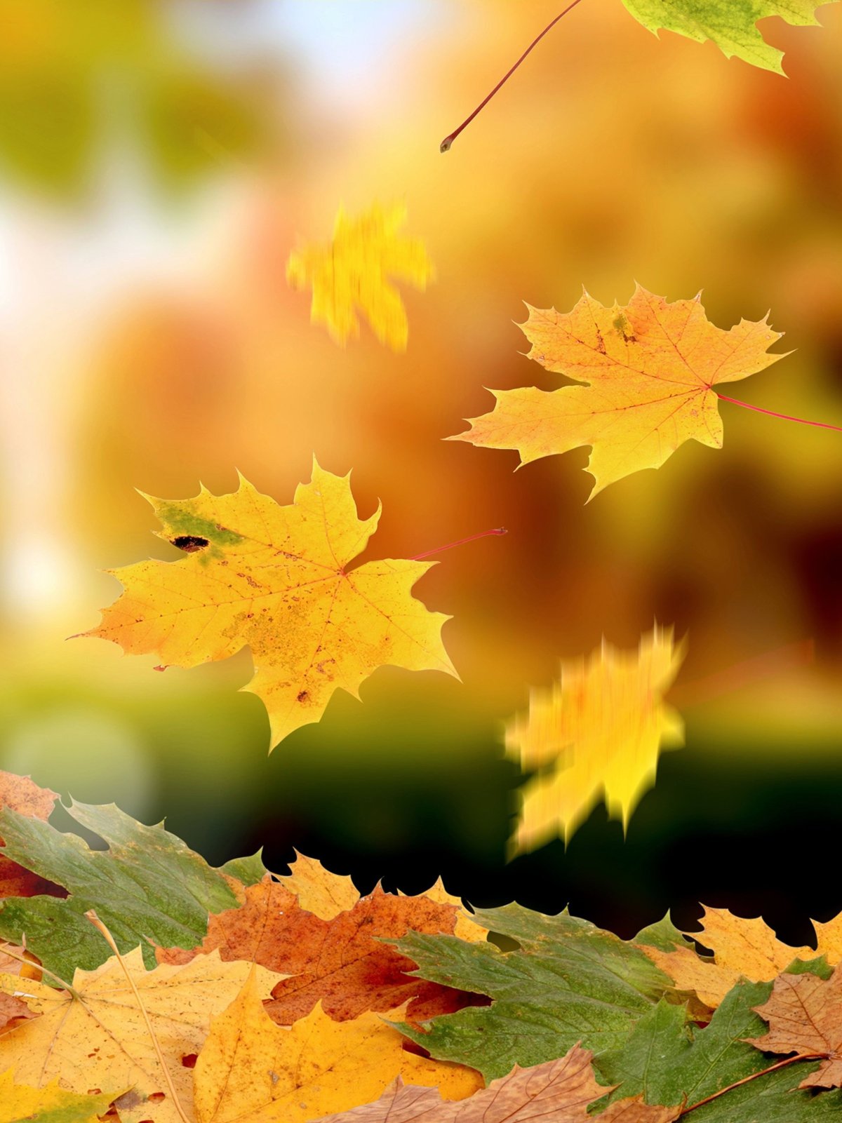 Осенний пейзаж вертикальный