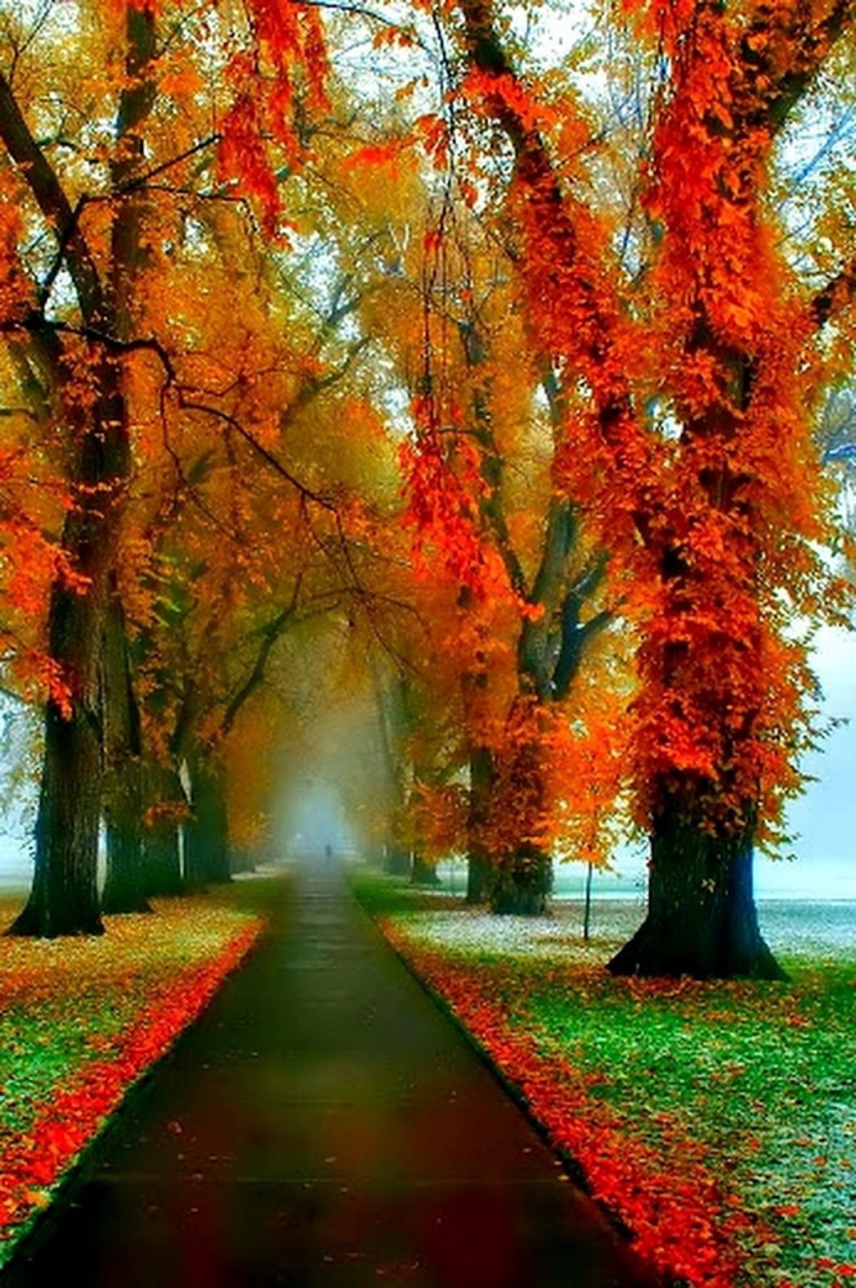 Красивая осень