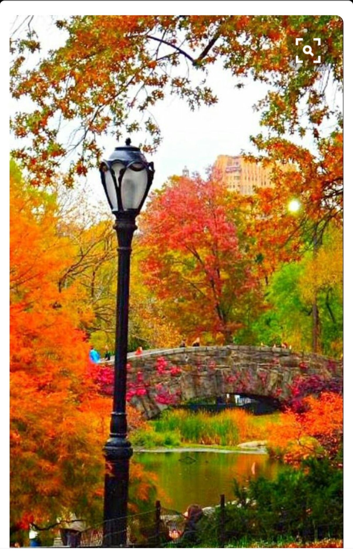 Осень высокое качество вертикальные