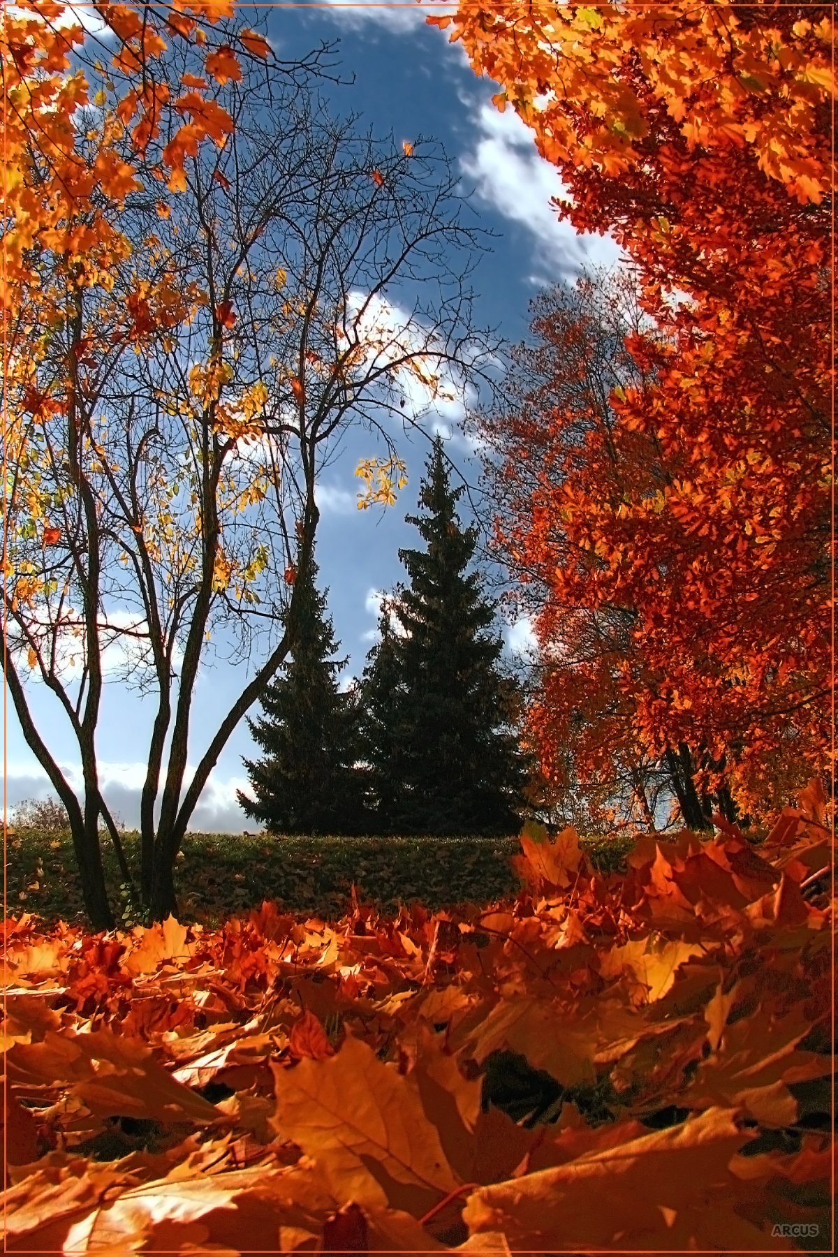 Красивый парк осенью