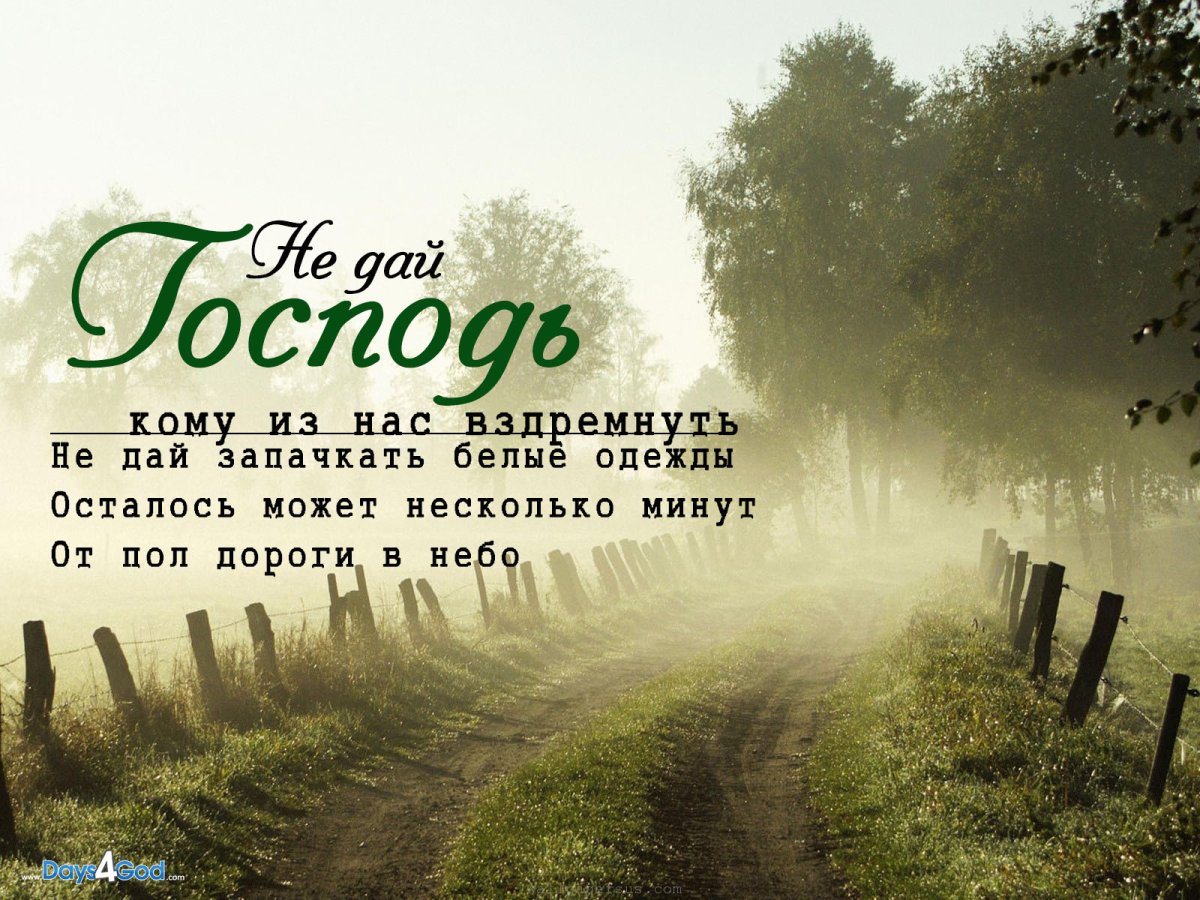 Доброе утро цитаты