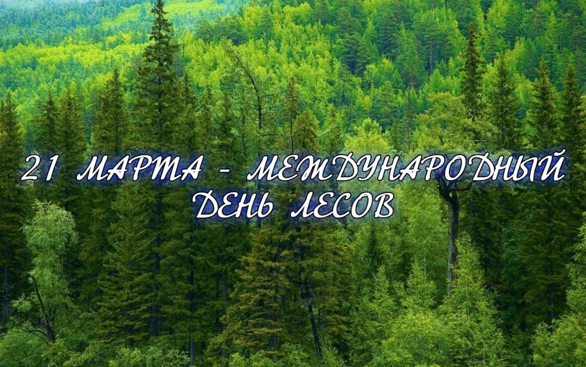 День леса 2023 года