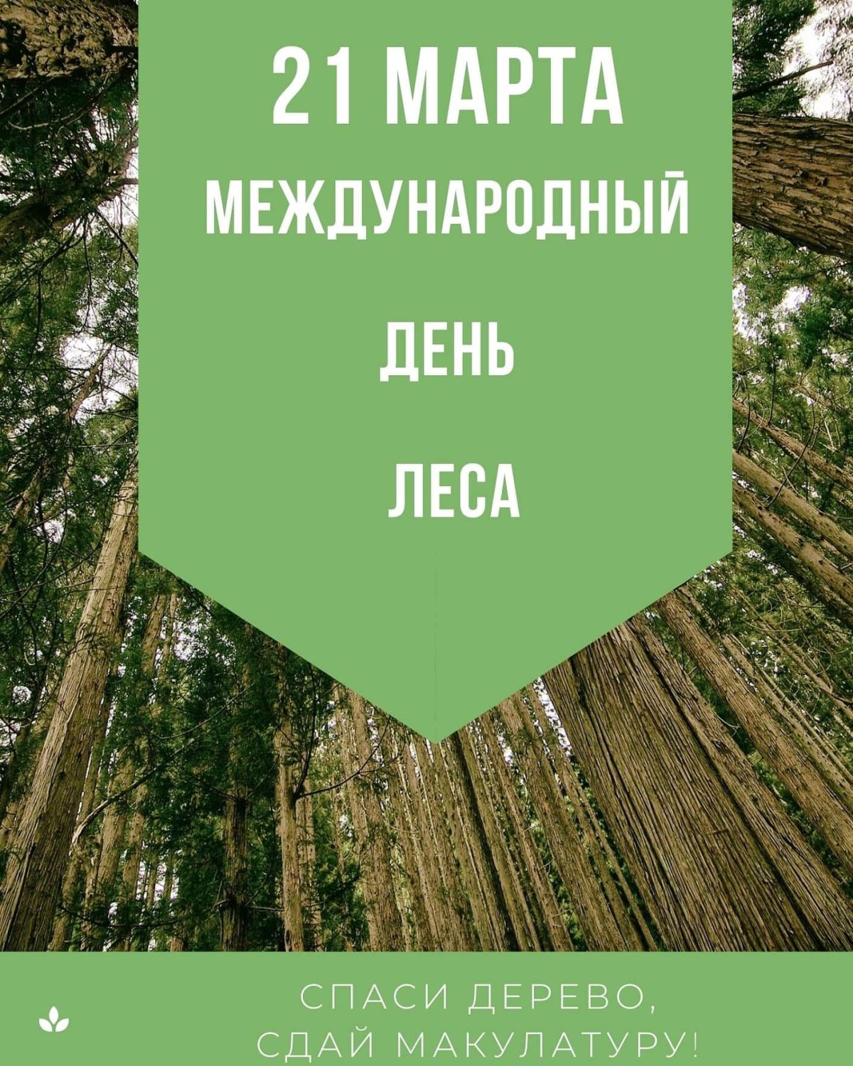 21 Марта Международный день леса в библиотеке