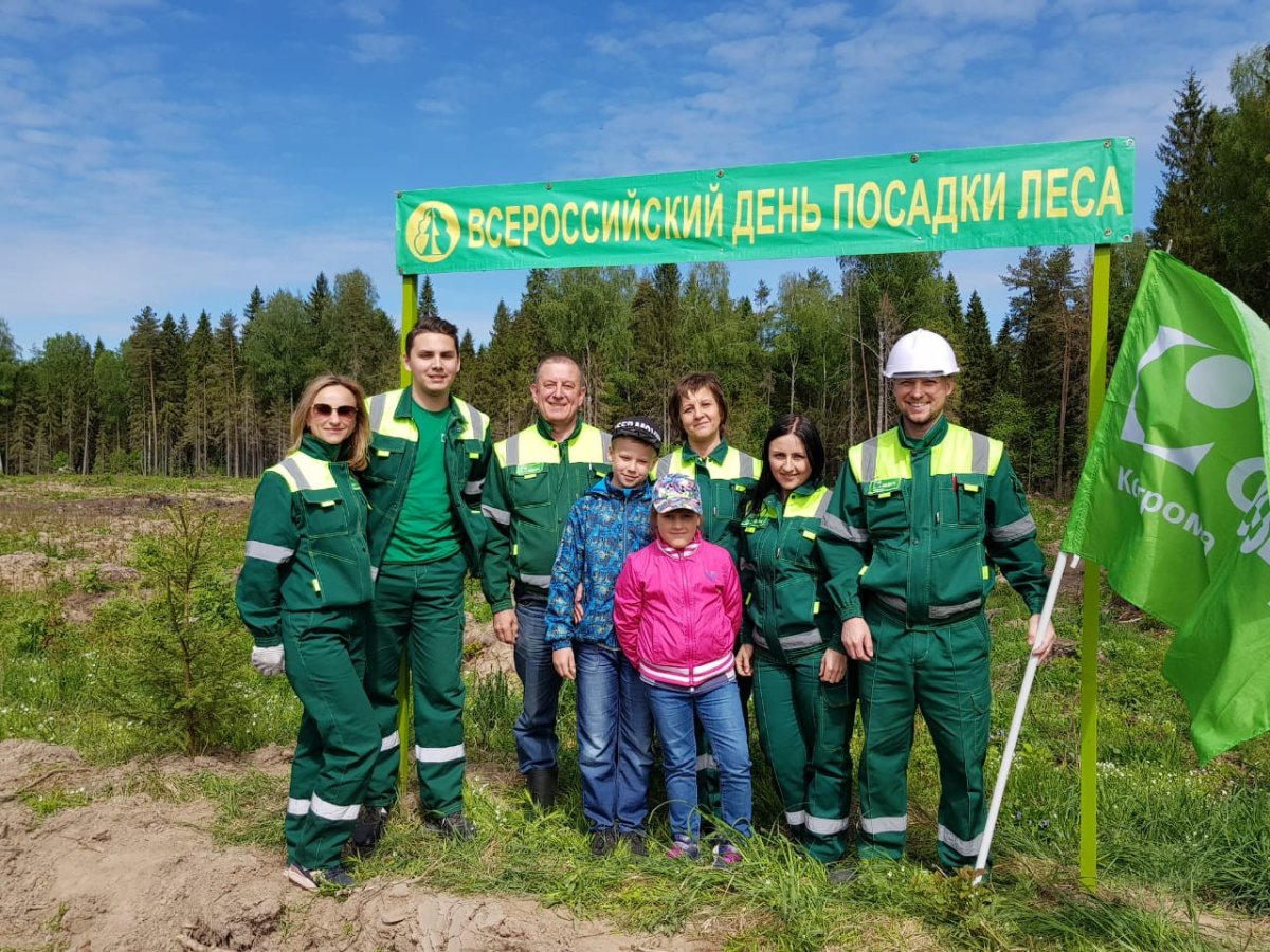 Акция живи лес 2018