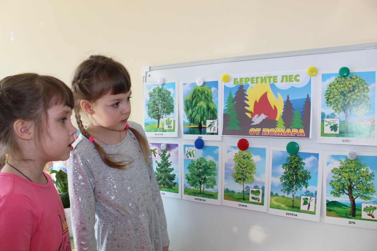 Всемирный день леса