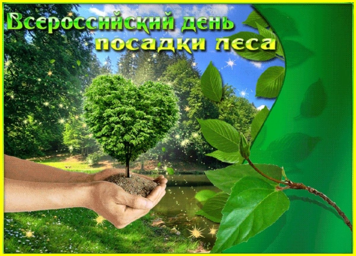 Экология охрана природы