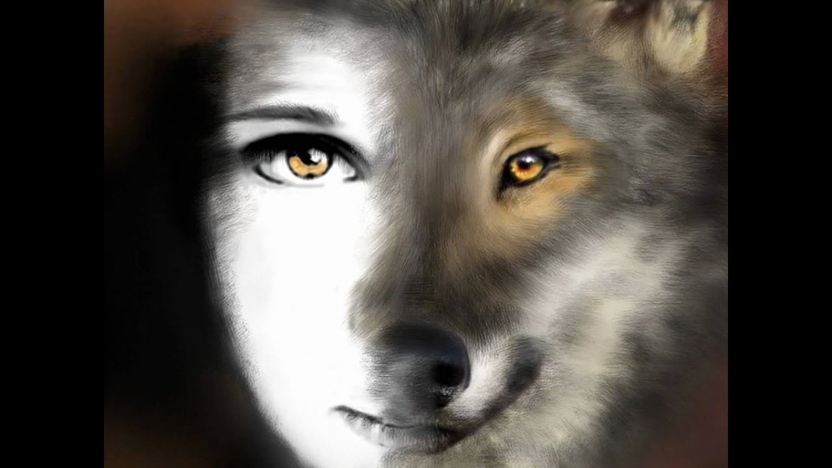 Глаза волчицы