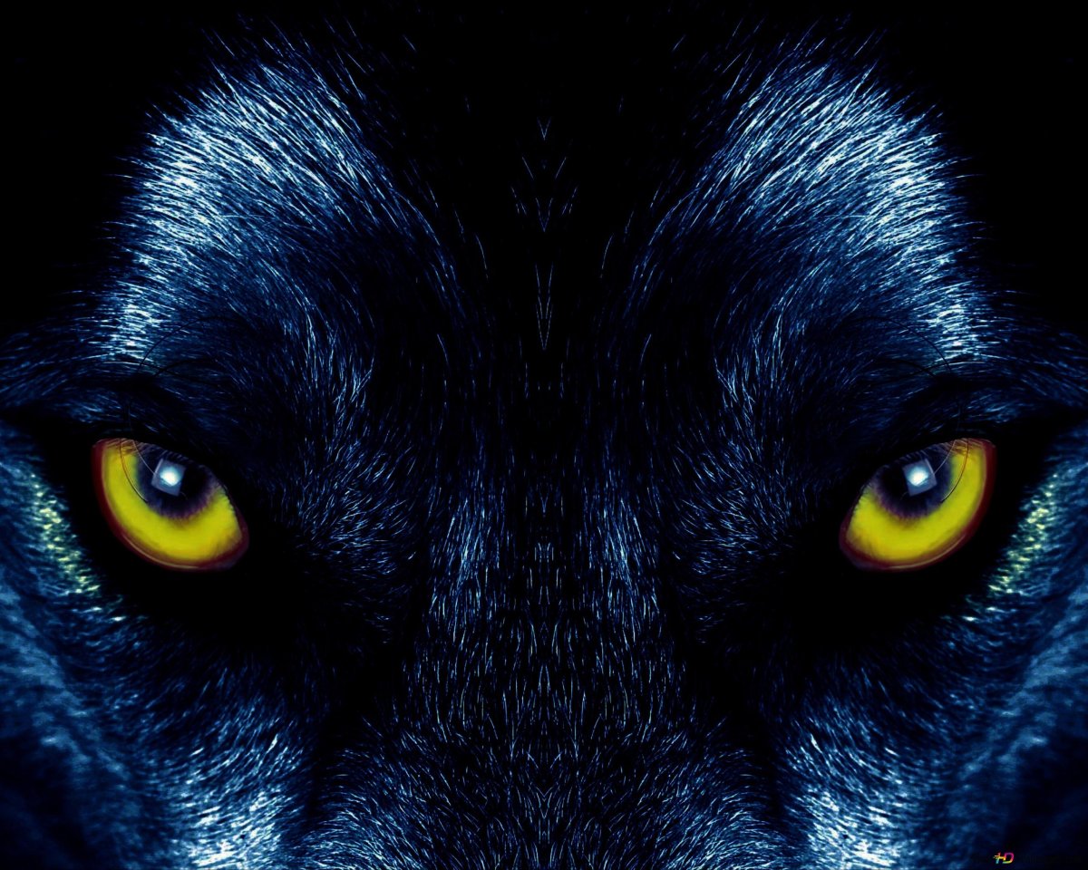 Волк с красными глазами