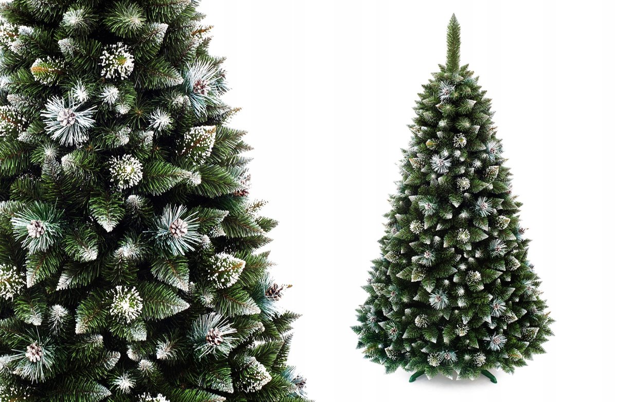 Triumph Tree ель Императрица с шишками 2.15