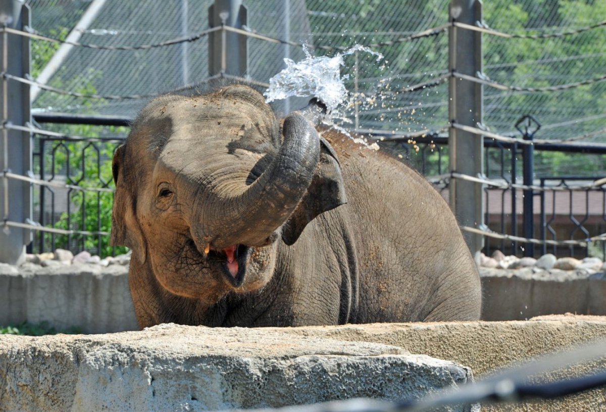 Московский зоопарк