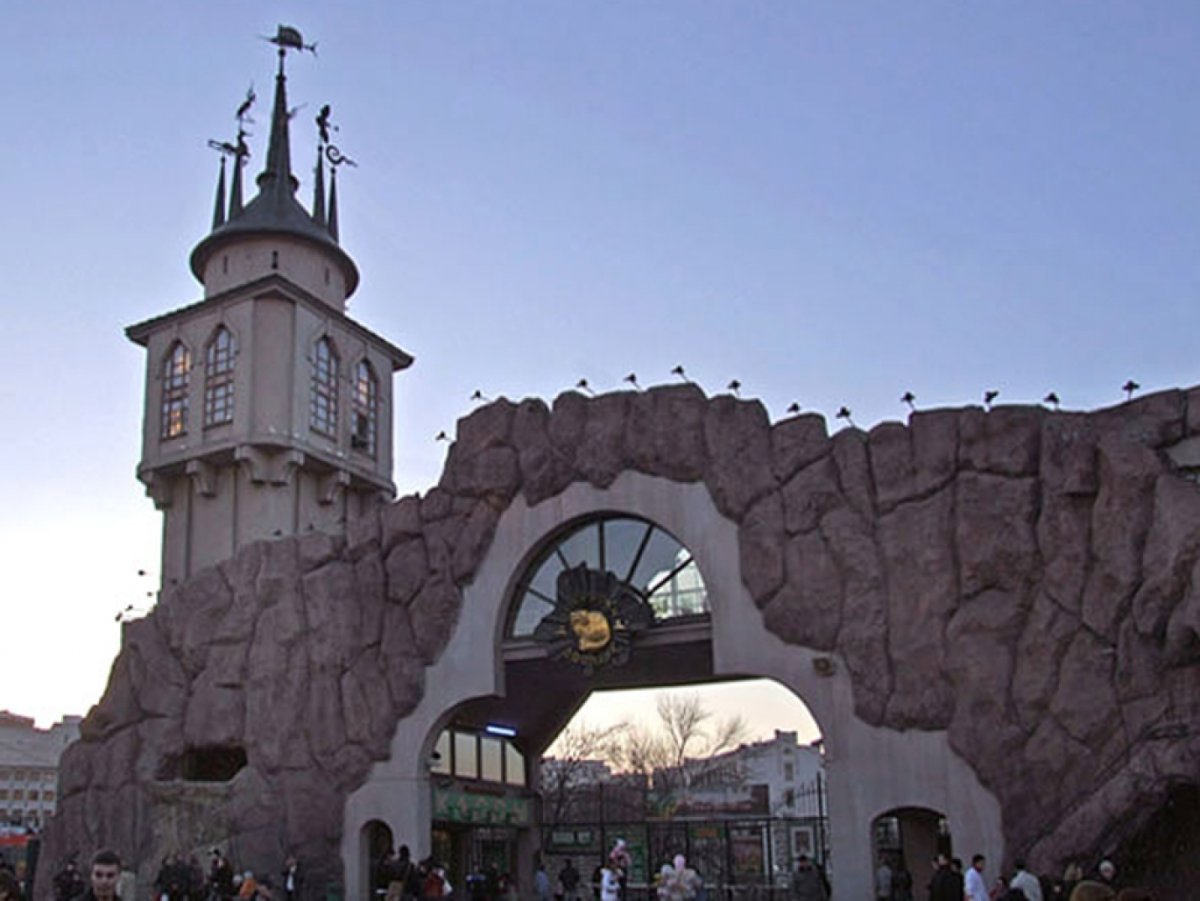 Площадь Московского зоопарка