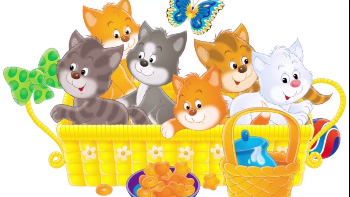 Детский сад для котят